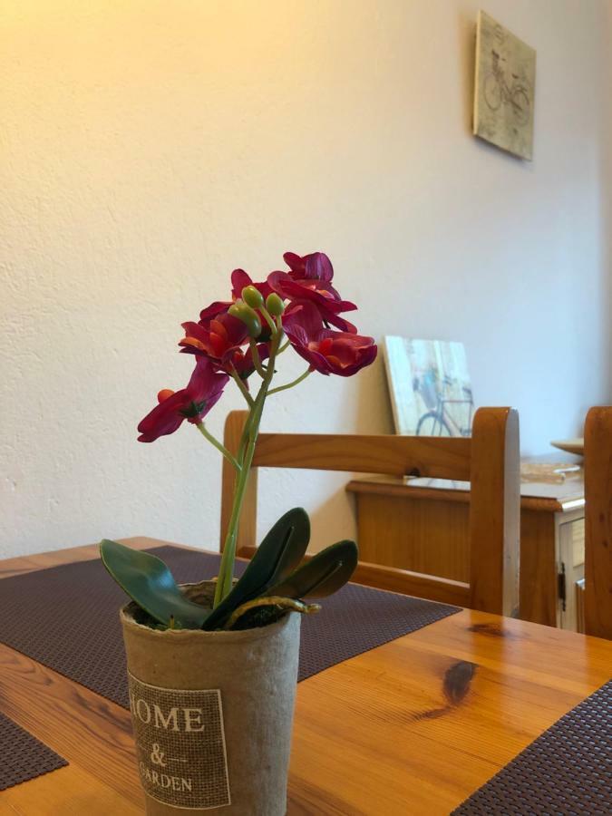 Apartaments S'Arenella Кадакес Экстерьер фото